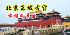 插空姐小穴中国北京-东城古宫旅游风景区